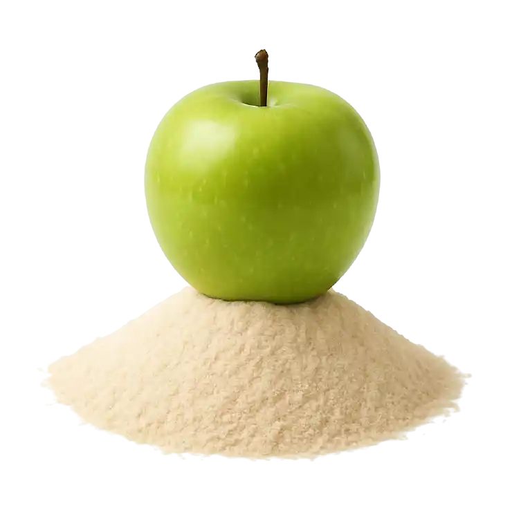 আপেলের গুঁড়া