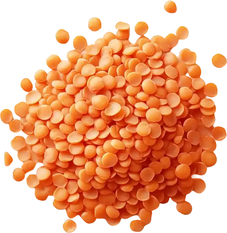 মসুরের ডাল